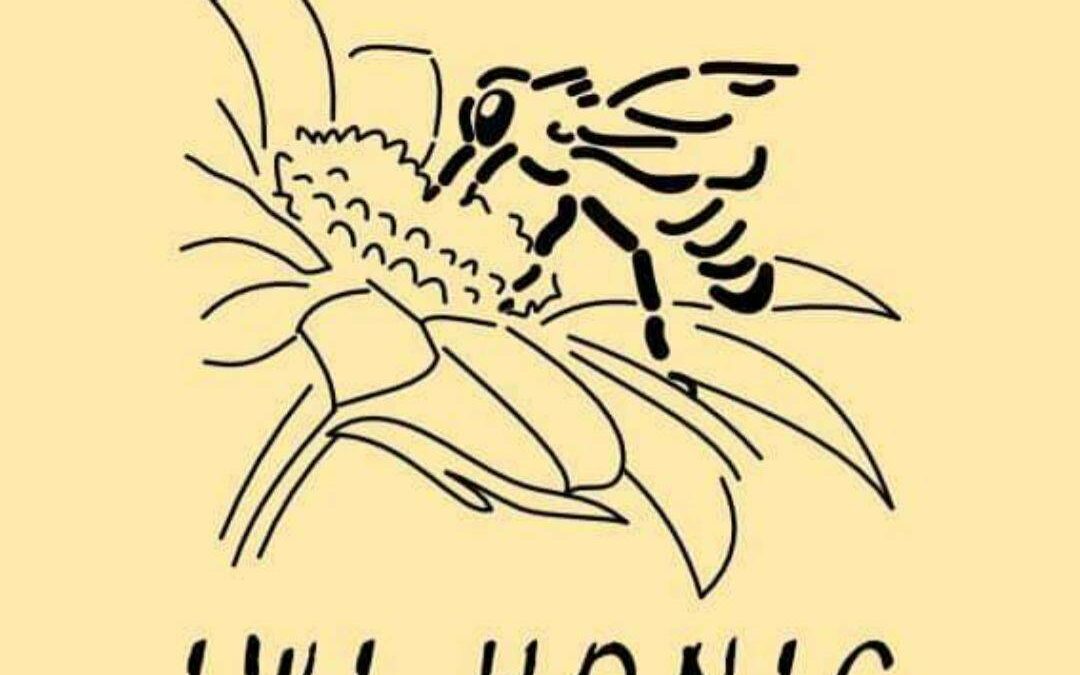 Imkerei IWI Honig