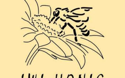 Imkerei IWI Honig