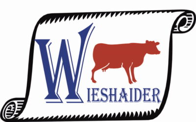 Bauernhof Wieshaider